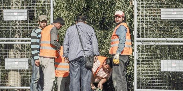 G-20 Zirvesi için 5 milyon TL'ye 40 km bariyer