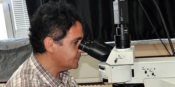 Türk bilim insanlarından ödüllü kanser araştırması