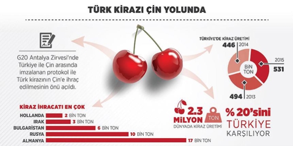 Çinliler Türk kirazını 2016'da yiyecek