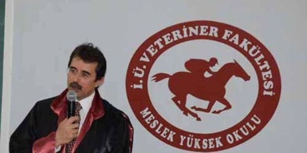 Türkiye'de yılda 150 bin ısırılma vakası görülüyor