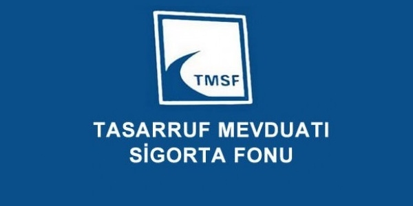 TMSF Kurulu yeliine Ali Altnta atand