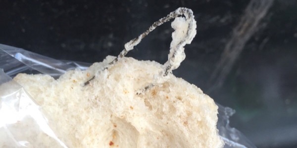 Ekme�in i�inden tel ��kt� iddias�