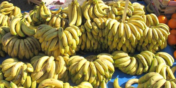 Muz �retimi yeni bir rekora ko�uyor