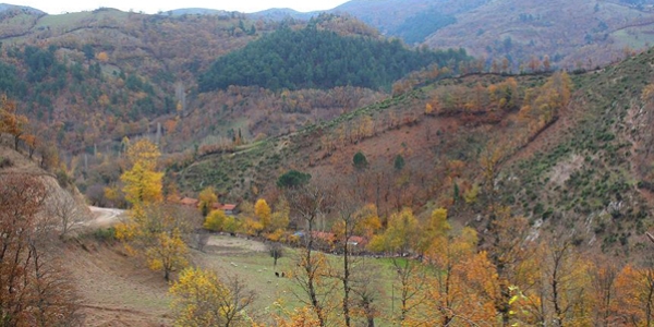 Madra Dağı'nda altın madeni bulundu