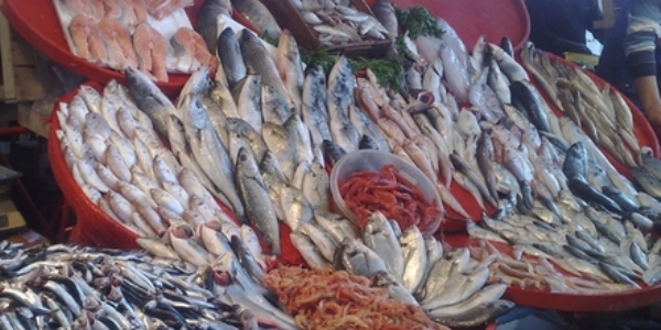 Bal�k azald� fiyatlar y�kseldi