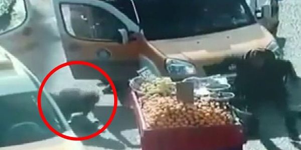 Şehit polis memuru'nun kimliği belli oldu