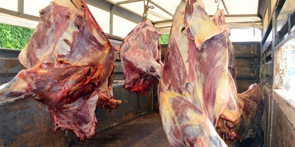 Tuzla'da 43 ton kaçak et yakalandı