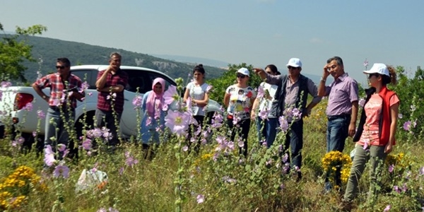 Ulusal Biyolojik Çeşitlilik Envanter ve İzleme Projesi