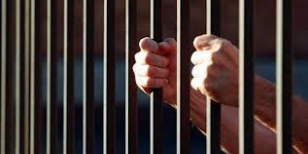 Hükümlüler cezalarını fidan dikerek çekecek