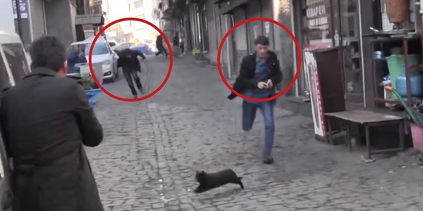 O polis PKK'lıyı alnından vursaydı...