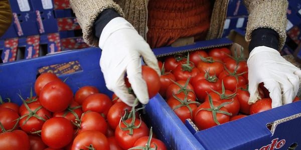 Rusya'yla yaşanan sorun Aralık'ta enflasyonu düşürebilir