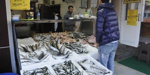 Hamsinin kulağına kar suyu kaçtı ama hamsi yok