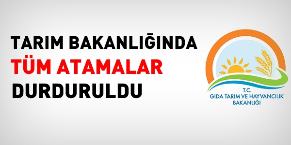 Tarm'da tm atamalar durduruldu