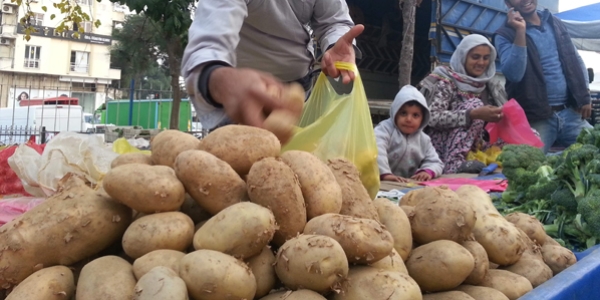 Geçen yıl kilosu 5 TL'ye yükselen patates bu yıl 75 kuruş