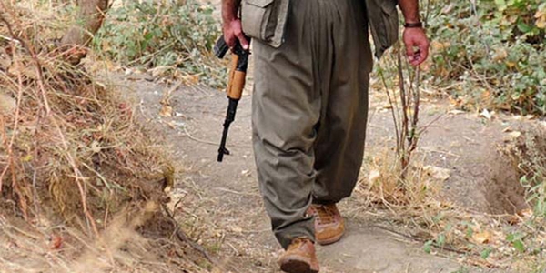 PKK'nın üst düzey yöneticisi yakalandı