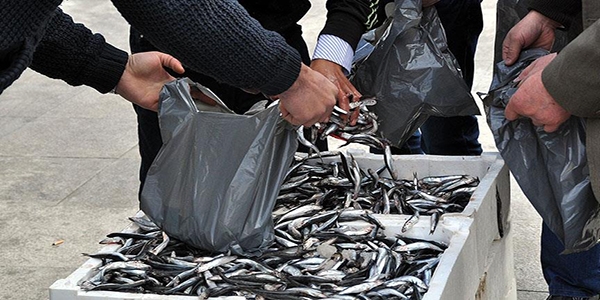 Marmara'da hamsi azalnca balk fiyatlar ykseldi