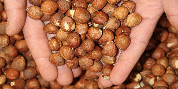 F�nd�k fiyat� yeniden y�kseli�te