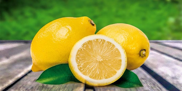 Limon altın çağını yaşıyor