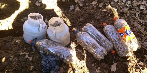 Tunceli'de 2 bin 500 biksi m�himmat� ele ge�irildi