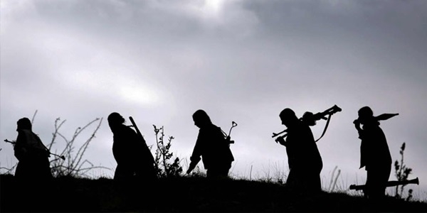 Siirt'te terör örgütü PKK'ya darbe