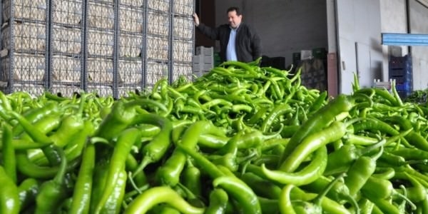 Yasağa rağmen ucuzlamadı