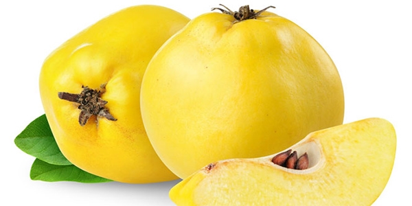 Ayva yaşlanmayı yavaşlatıyor