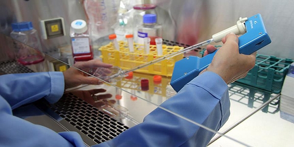 'Gelecekte kk hcre kanseri ortadan kaldrabilecek'