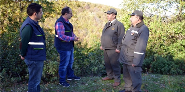 Ormanlarda 'yılbaşı nöbeti' başladı