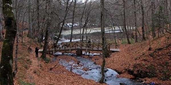 Yedigöller ve Gölcük'te piknik yasaklandı