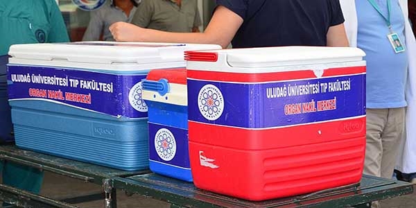 Mahkemenin '3. şahıslardan' organ nakli kararına tıpçılardan itiraz