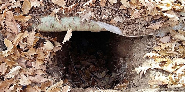Bingöl'de terör örgütüne ait 4 sığınak bulundu