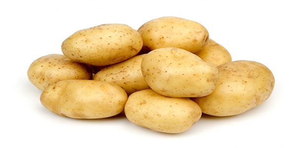Şeker oranı düşük patates üretiliyor