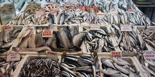 Bal�k kula��na kar suyu ka�t�, fiyatlar d��t�