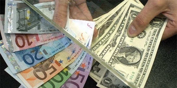 Avro ve dolar, geçen yılı kazançla kapattı