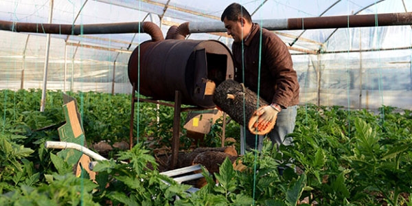 Sera �reticilerinin 'don n�beti'