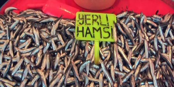 Kar yağışı nedeniyle hamsinin fiyatı 20 lira oldu