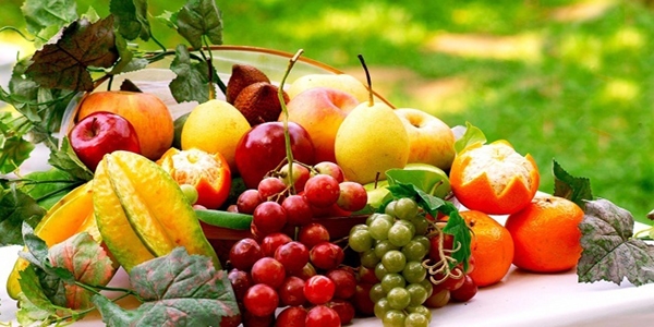 Sebze ve meyveler hastalklardan koruyor
