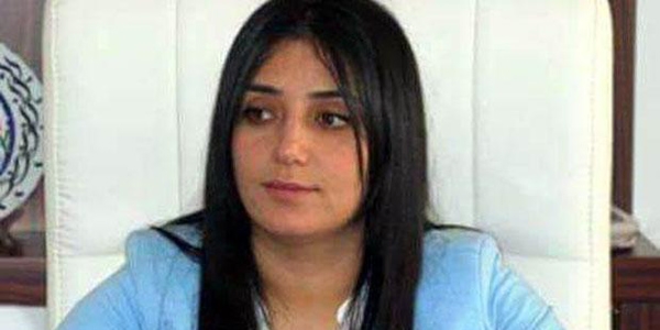 Çatak Belediye Başkanı Keve, tutuklandı