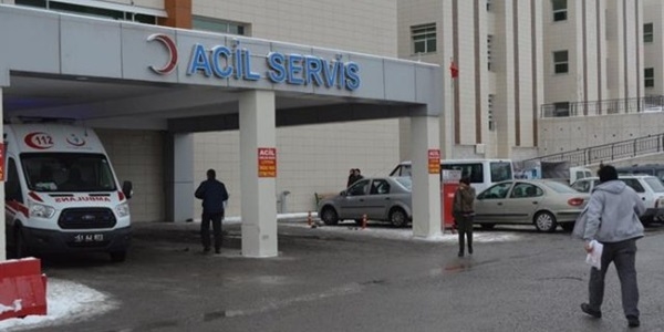 Niğde'de domuz gribi şüphesi: 2 ölü