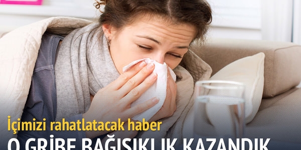 Domuz gribine bağışıklık kazandık