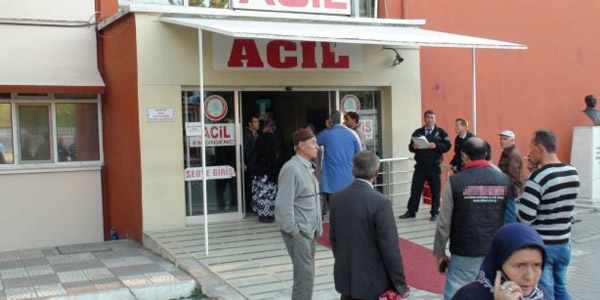 4 il'de domuz gribi şüphesi
