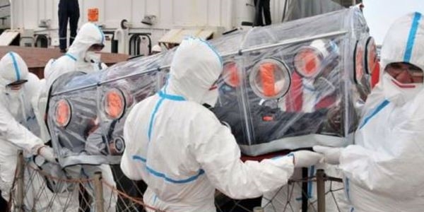 'Domuz gribi' vakaları