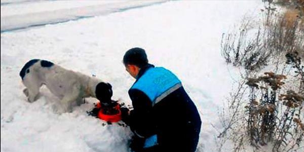 Eksi 20 derecede yem seferberliği