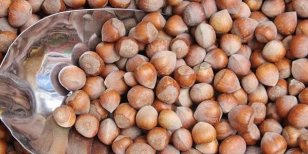 Fndk'ta fiyatlar maliyetin altna doru iniyor