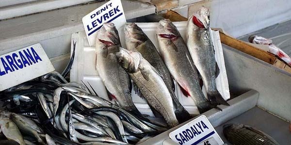 Levrek palamuttan daha çok tercih ediliyor