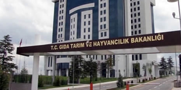 Eski Bakan, Faruk Çelik'in danışmanı oldu