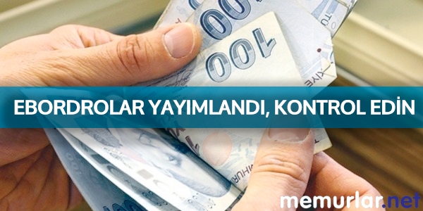 Muhasebat e-bordroları yayımladı, kontrol edin