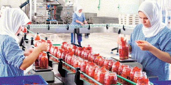 Perakendeci, nakliyeci, gıda imalatçısı yaşadı