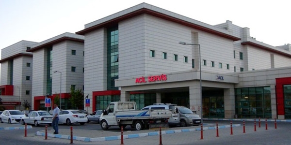 Kahramanmaraş'ta domuz gribi bir can aldı