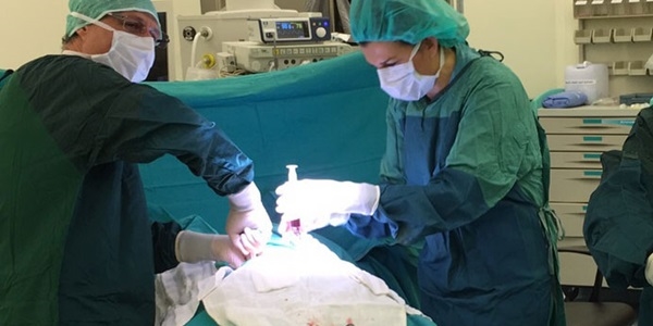 Uludağ Üniversitesi, kök hücre nakilleri ile başarıya imza atıyor